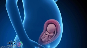 آماده سازی اندومتر در کاشت جنین